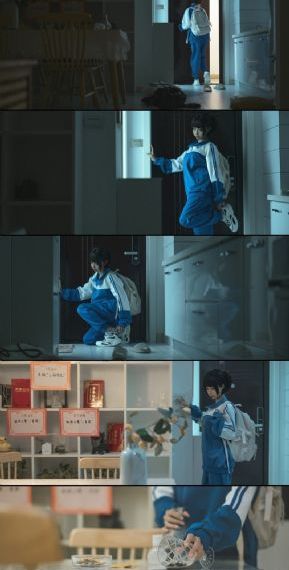 天天精品视频