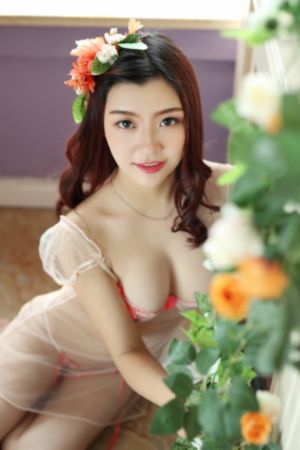 沧元图第二季在线观看全集免费