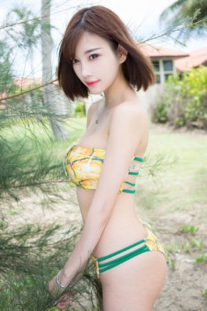 郑树森电视剧50集免费观看