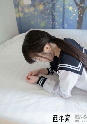 复仇长官在线观看高清