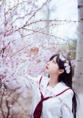 韩剧宫电视剧免费观看全集完整版